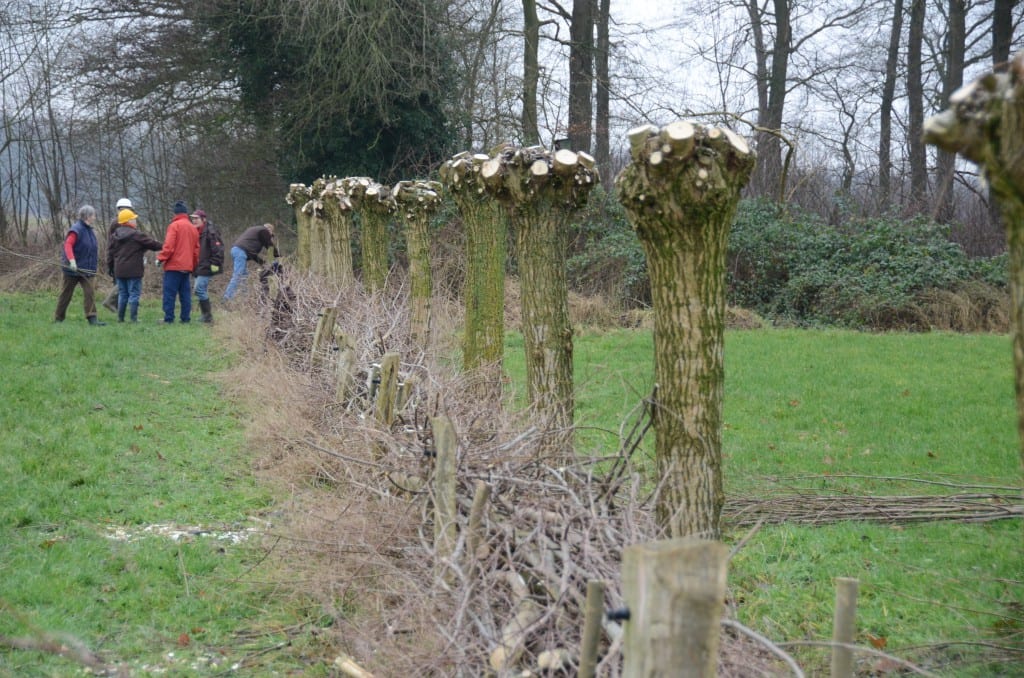 natuurbeheer-kelholt
